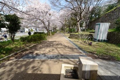 宇治川公園の画像2