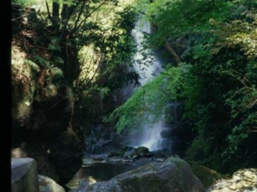 万葉公園の画像2