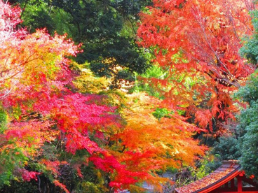 万葉公園の画像3