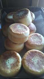 ブレッド＆サーカスの画像4