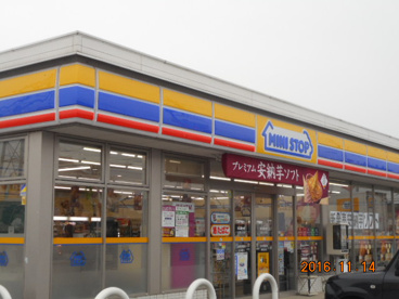 ミニストップ上里七本木店の画像1