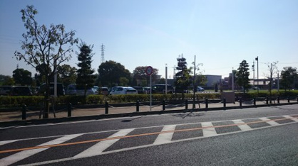スカイホールの画像4