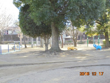 城下公園の画像2