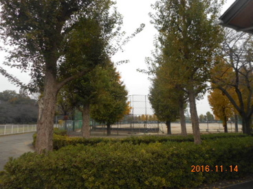 若泉運動公園の画像2