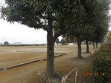 万年寺下公園