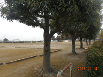 万年寺下公園
