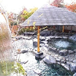 ゆとろ嵯峨沢の湯の画像1