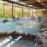 いずみの湯(ニューウェルシティ湯河原)の画像1