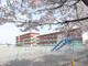 高崎市立大類小学校の画像