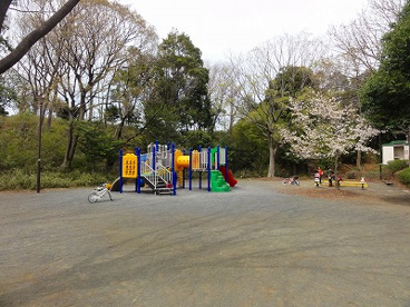 泉天ヶ谷公園の画像1