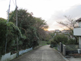 松ケ丘緑地