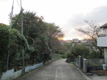 松ケ丘緑地の画像1