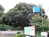 公園 加曽利貝塚公園