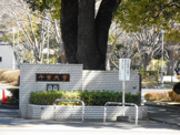 千葉大学