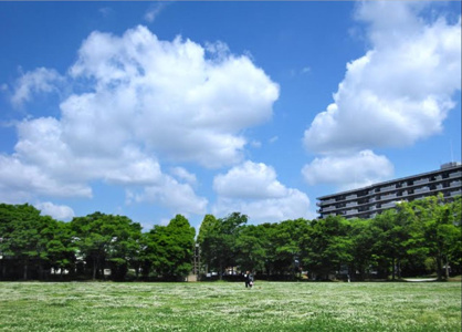 高岩公園の画像
