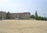 今津小学校
