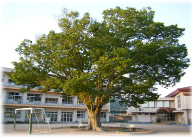 御調中央小学校の画像1