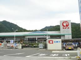  コメリハード&グリーン 御調店の画像1