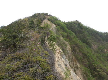 鉢が峰の画像2