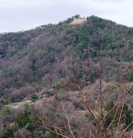 鳴滝山の画像2