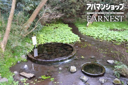  柿田川公園の画像1