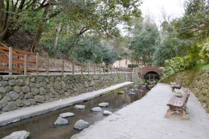  柿田川公園の画像2
