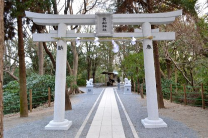  柿田川公園の画像3