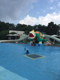 緑地公園ウォーターランドの画像2