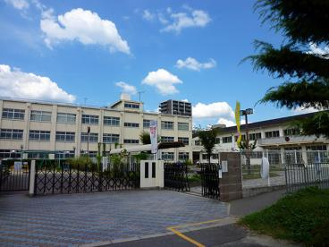 芥川小学校の画像1