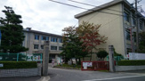 駒場小学校