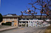 盈進学園 盈進中学高等学校