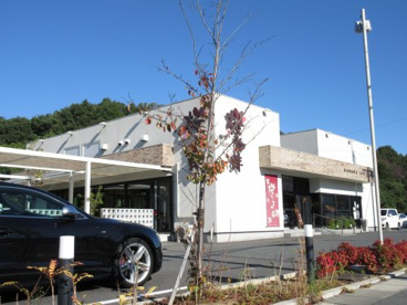 桜珈琲 富田林店の画像1