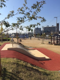明和池公園の画像5