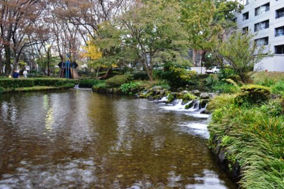 白滝公園の画像3