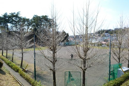  かも公園の画像1