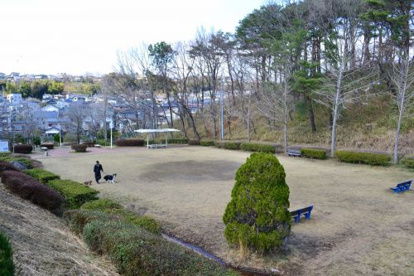  かも公園の画像2