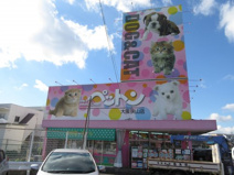 ペットン美容室