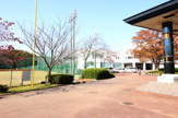 つくばみらい市総合運動公園