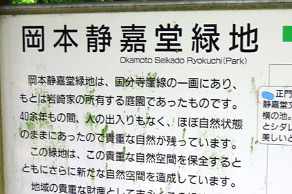 岡本静嘉堂緑地の画像1