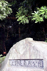 上野毛自然公園の画像1