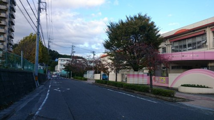 梅坪こども園の画像4