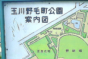 玉川野毛町公園テニスコートの画像1