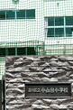 小学校 小山台小学校
