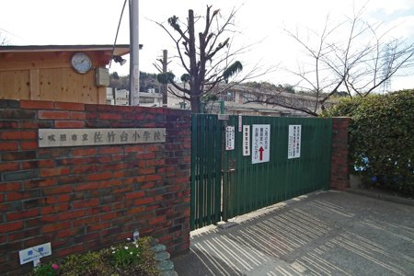 佐竹台小学校の画像1