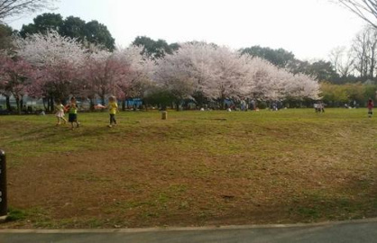 西東京いこいの森公園の画像2