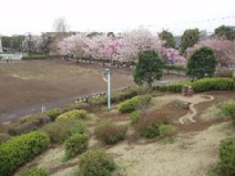 文理台公園