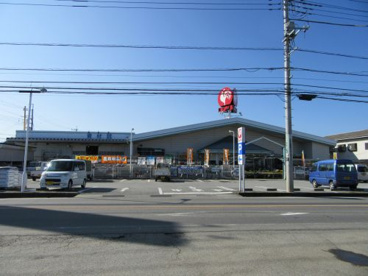 コメリハード＆グリーン石和井戸店の画像3