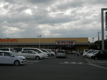 ヨークベニマル・つくばみらい店の画像1
