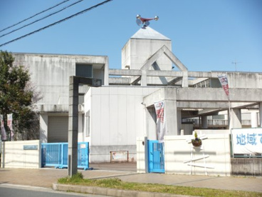 小金台小学校の画像1