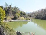 明治池公園